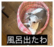 854776656