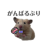 854776705