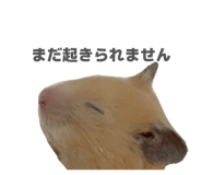 854776711