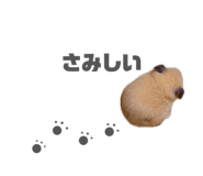 854776715