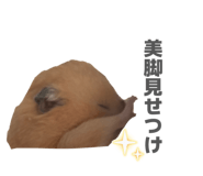 854776717