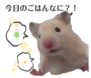 854776722