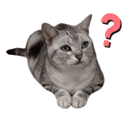 854776775