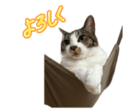 854776781