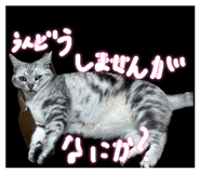 854776789