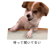 854776795