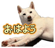 854777314