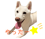 854777316