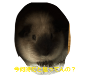 854777704