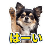 854778533
