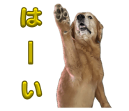 854778929