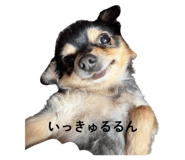 854778983
