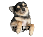 854778984