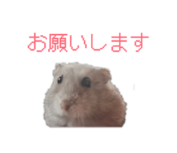 854779207