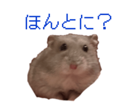 854779210