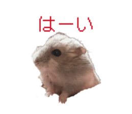 854779222