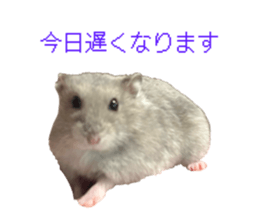 854779226