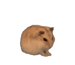 854779231