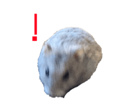 854779232