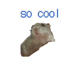 854779235