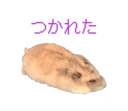 854779238