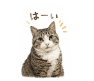 854781686