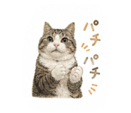 854781694