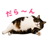 854781754