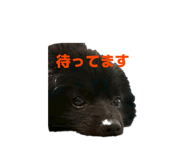 854782370