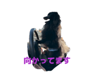854782376