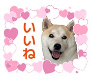 854783073