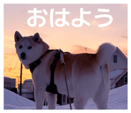 854783087