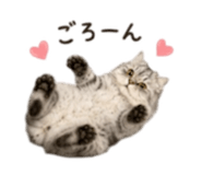 854783282