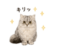854783285