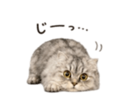 854783291