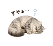 854783293