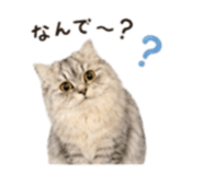 854783298