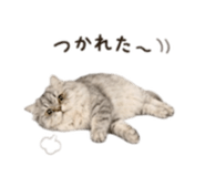 854783304