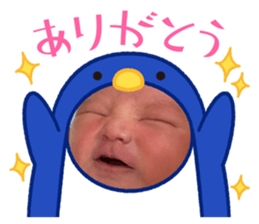 854784684