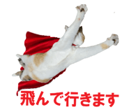 854785137