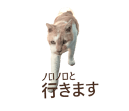 854785140