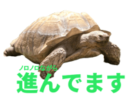 854785146