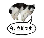 854785150