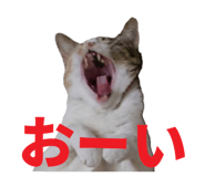 854785151