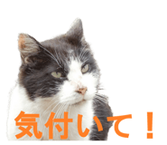 854785152