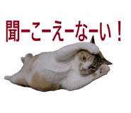 854785156