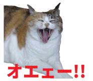 854785159