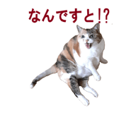 854785160