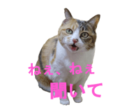 854785166