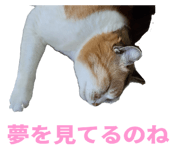 854785172